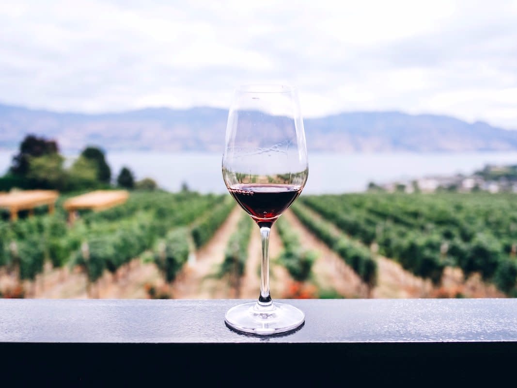 red wine unsplash kym ellis