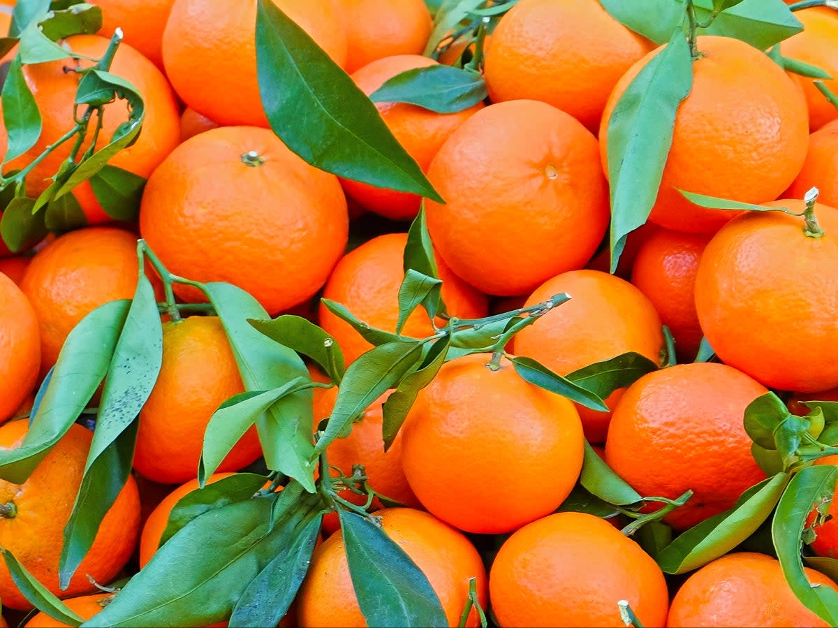 Oranges are often coated with wax containing insect resins to ensure they last longer on supermarket shelves (Getty/iStockphoto)