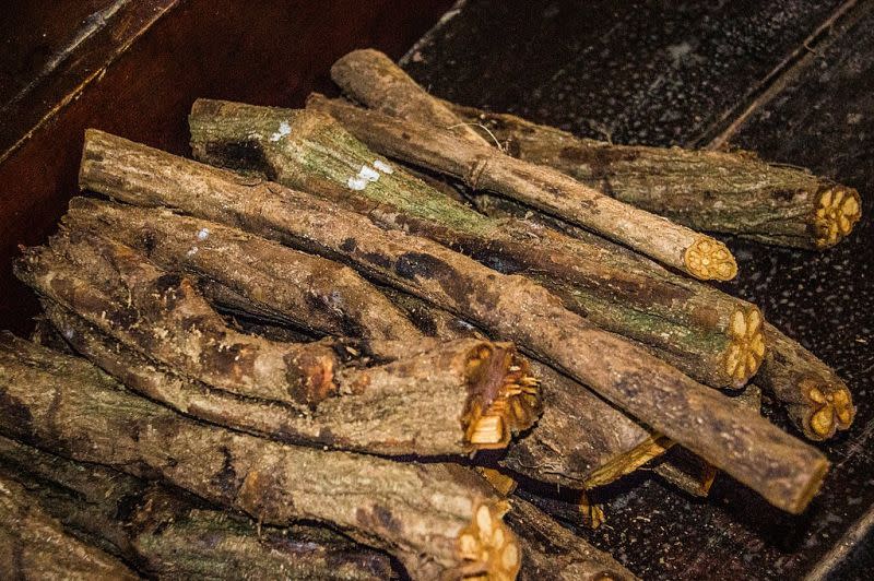 Secciones de la liana <i>Banisteropsis caapi</i> con las que los chamanes preparan el brebaje llamado ayahuasca. Desgraciadamente, el turismo "psicodélico" hace que cada vez sea más difícil de encontrar en su ambiente natural.(Imagen Creative Commons vista en Wikipedia).