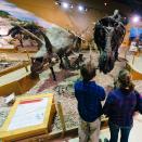 <p>No <em>Jurassic Park</em> props here. <a href="https://wyomingdinosaurcenter.org/" rel="nofollow noopener" target="_blank" data-ylk="slk:Wyoming Dinosaur Center;elm:context_link;itc:0;sec:content-canvas" class="link ">Wyoming Dinosaur Center</a> in Thermopolis gives your kids the rare opportunity to be a paleontologist. More than 10,000 dinosaur fossils have been found at its dig site. If your kid unearths one, her treasure will join the museum's impressive skeleton collection. </p>