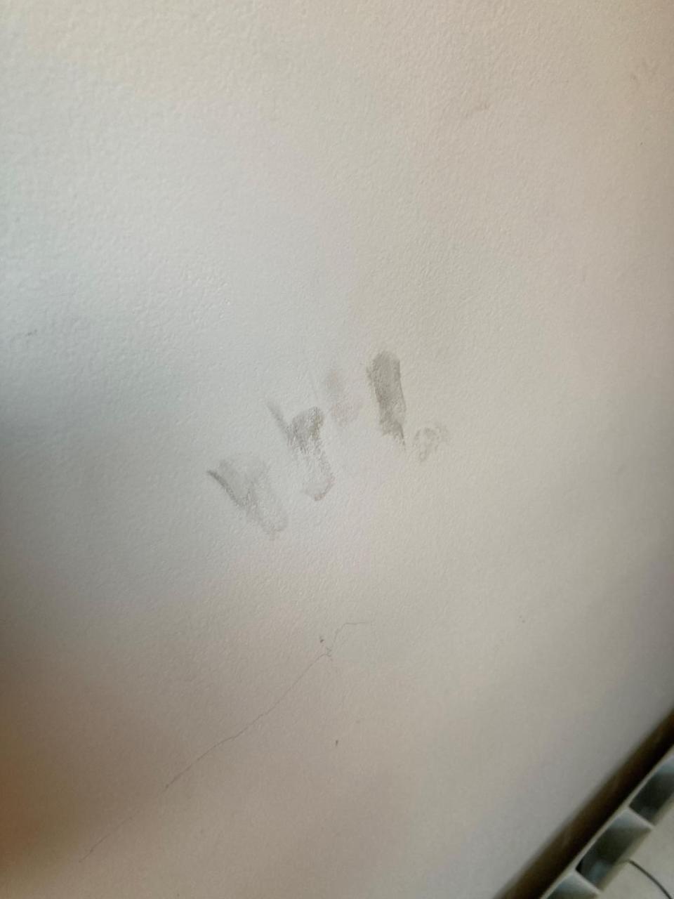 Worcester News: PRINTS: The tenant says the 'intruder' left these dirty fingerprints on the wall opposite the window in a corridor 