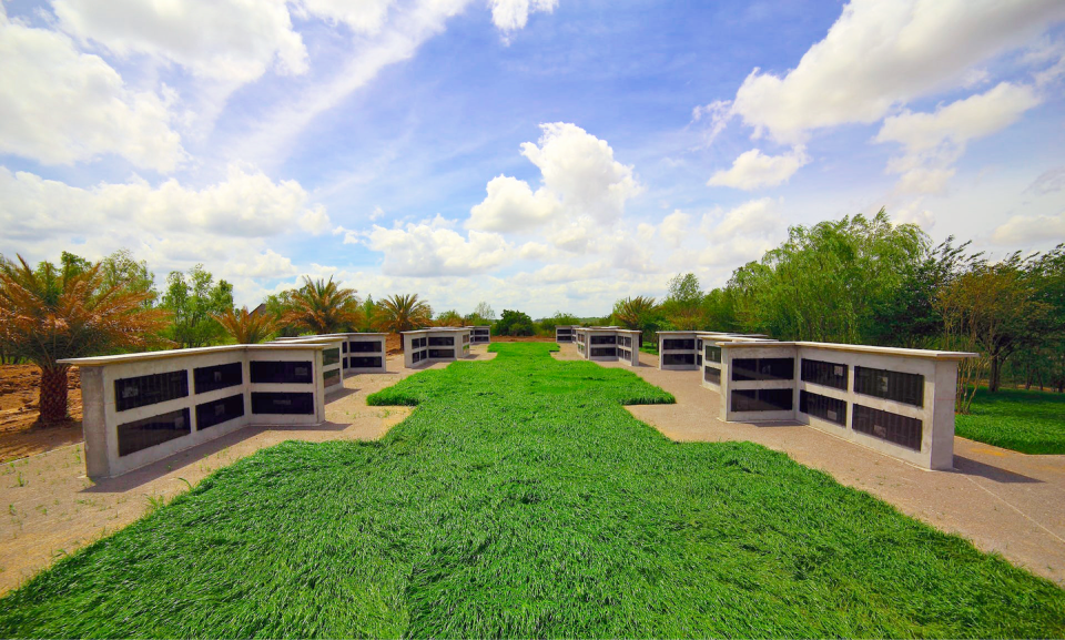 Photo credit: COURTESY OF ELSA HAPNE/WHITNEY PLANTATION