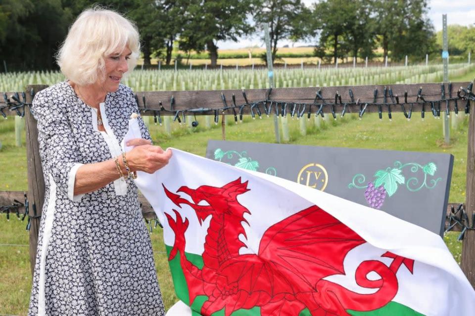 The Duchess of Cornwall, President of Wine GB, unveiled a plaque during a visit marking the 10th anniversary of the Llanerch Vineyard in Pontyclun, as part of a week-long tour of Wales (Chris Jackson/PA) (PA Wire)