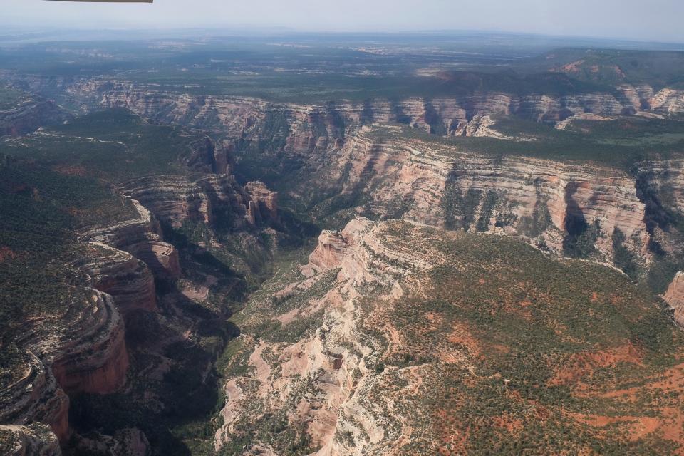 An aerial view of Arch Canyon within Bears Ears National Monument in southeastern Utah, which President Barack Obama sought to protect in 2016. President Donald Trump then greatly cut back on the size of the planned monument. Its fate is still undecided, but activists want an even larger swatch set aside.