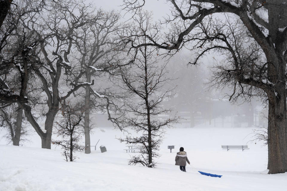 Una persona tira de un trineo en la nieve en Frazier Park el lunes 27 de febrero de 2023, en California. La zona estaba bajo alerta de tormenta invernal hasta el miércoles. (David Crane/The Orange County Register via AP)