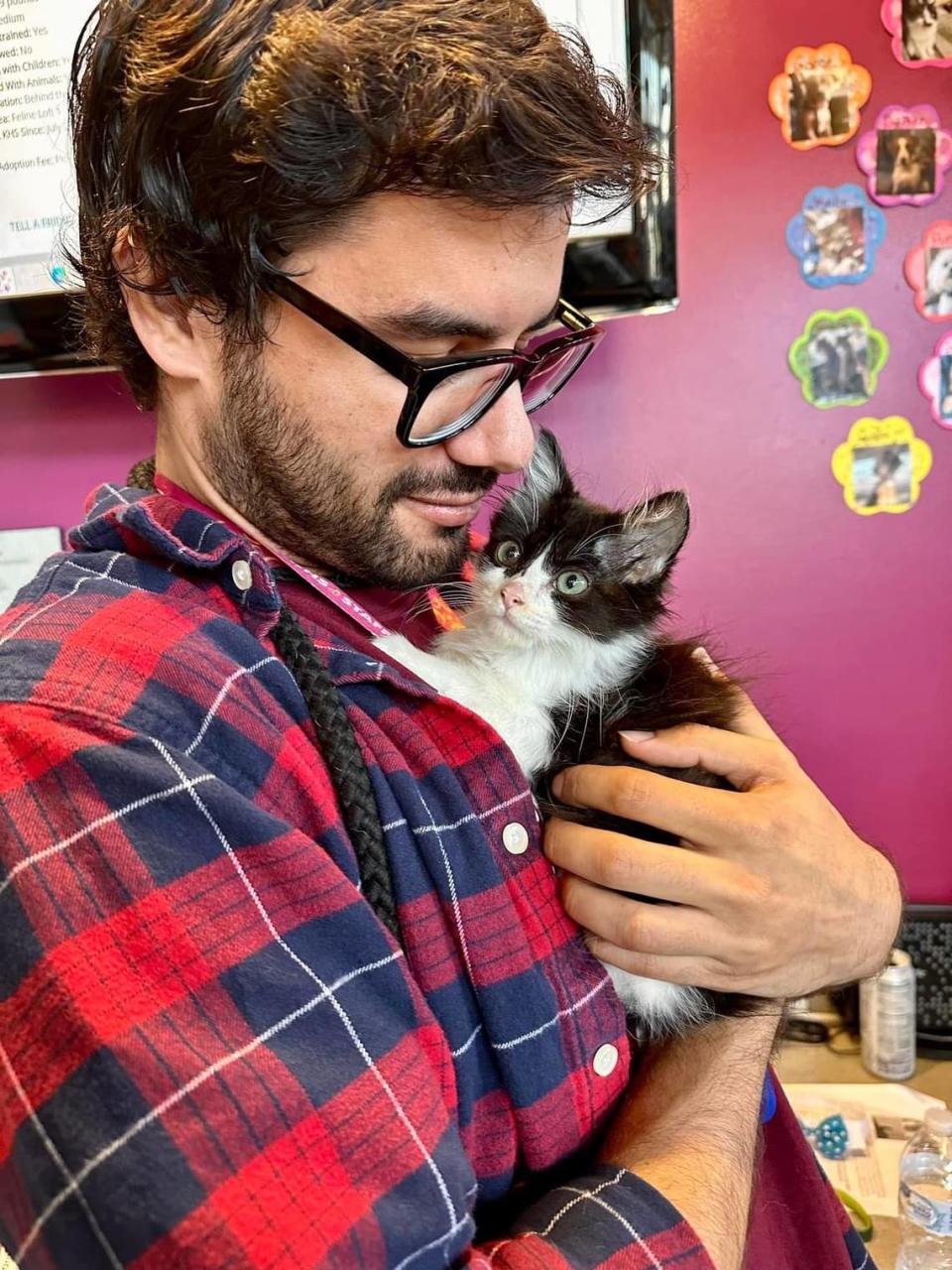 Kansas Humane Society director of marketing and communications Jordan Bani-Younes with Loki, the mama cat he is fostering in his office along with her two babies, Sif and Valkyrie.