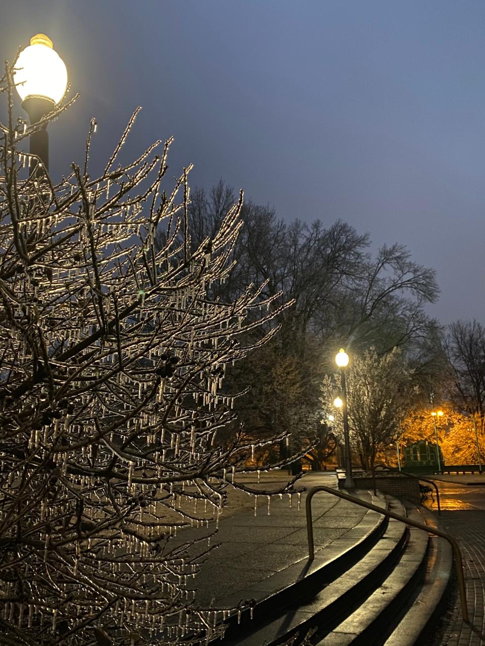 Ice blankets over Memphis and the Mid-South on Tuesday, Jan. 31, 2023. Ice covers all the trees at Overton Park.