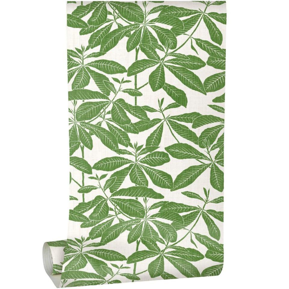 <p>Foglia - Leaf</p><p>casabranca.com</p><p>$150.00</p><p><a href="https://casabranca.com/collections/madagascar/products/foglia-madagascar-leaf" rel="nofollow noopener" target="_blank" data-ylk="slk:Shop Now;elm:context_link;itc:0;sec:content-canvas" class="link ">Shop Now</a></p><span class="copyright">casabranca.com</span>