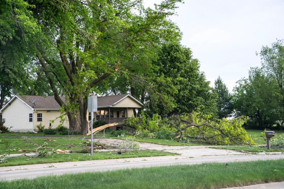 Tree damage is seen on Northwest 100th Street on Wednesday, May 22, 2024, in Johnston.