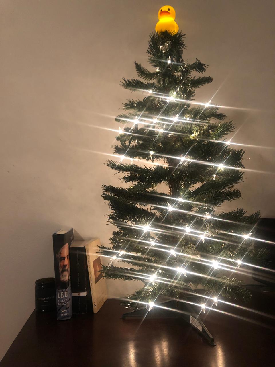 Abigail's Christmas tree, 2021.