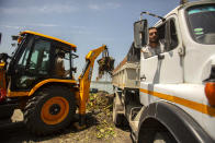 A truck is loaded with lotus lilies and weeds removed from the Dal Lake in Srinagar, Indian controlled Kashmir, Saturday, Aug. 21, 2021. Weeds, silt and untreated sewage are increasingly choking the sprawling scenic lake, which dominates the city and draws tens of thousands of tourists each year. (AP Photo/Mukhtar Khan)