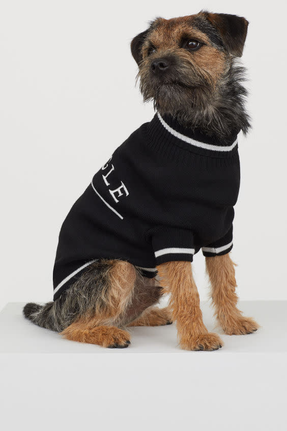 Passender "Pringle" Hundepullover (Bild: H&M)