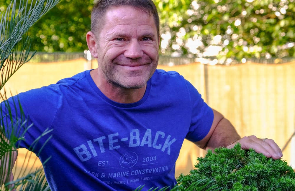 Steve Backshall credit:Bang Showbiz