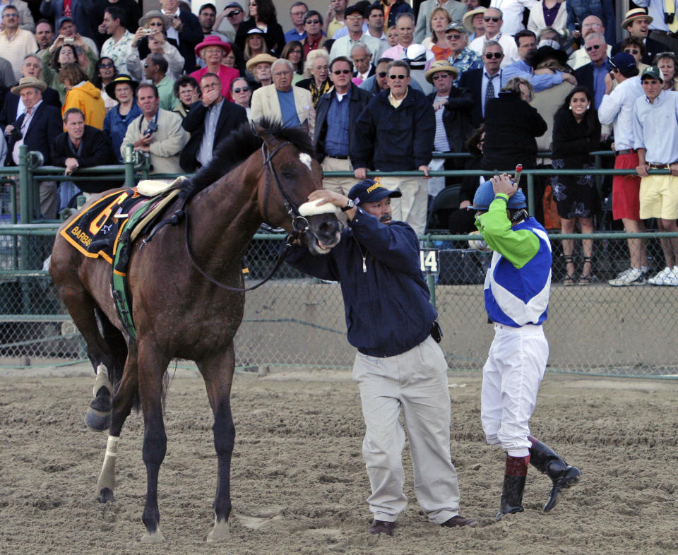 FILE - Barbaro is steadied by a track worker as jockey Edgar Prado looks on after he pulled up the horse with a fractured right rear leg during the 131st running of the Preakness Stakes horse race at Pimlico in Baltimore on May 20, 2006. Barbaro, who won the Kentucky Derby, was euthanized with laminitis several months later. (AP Photo/Garry Jones, File)