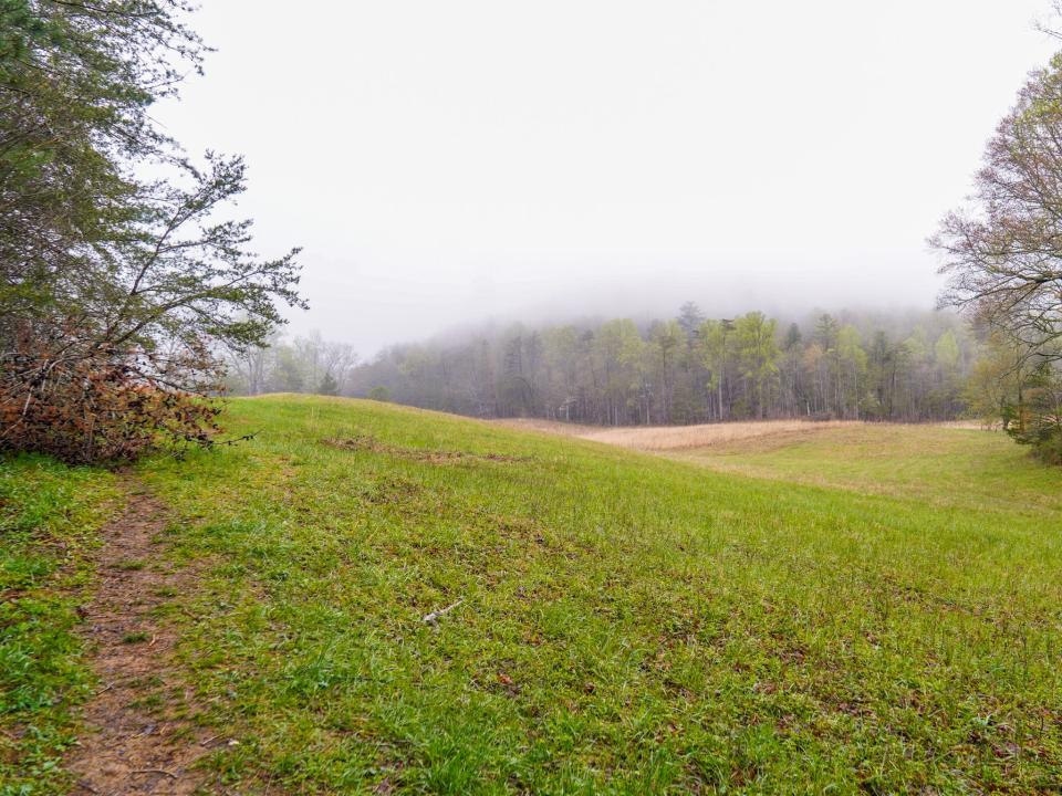 A hazy scene of a meadow in the mountains.