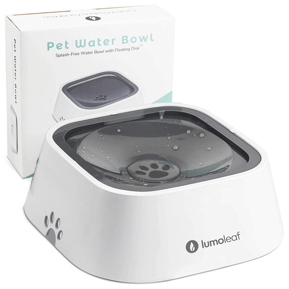 LumoLeaf Dog Water Bowl