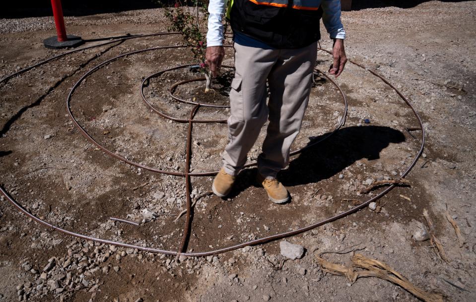 Larry Fossan talks about experimenting with rings of irrigation to water trees at a turf removal project at Sun City Anthem's community and recreation center in Henderson, Nevada, on Sept. 26, 2022,