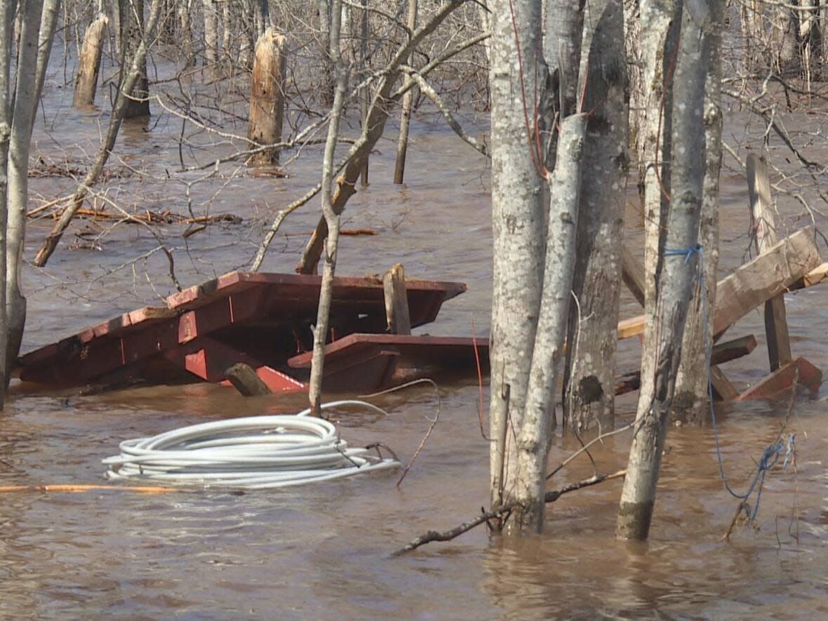 A snapshot of flooding in the Grand Lake region in 2019. Debris from flooding, including parts of cottages, washed onto the shore, having the potential to disturb important marshland and bur oak trees. (Shane Fowler/CBC - image credit)