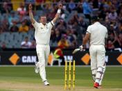 Australia's Peter Siddle (L) celebrates after dismissing New Zealand's Doug Bracewell for 11 runs during the first day of the third cricket test match at the Adelaide Oval, in South Australia, November 27, 2015. REUTERS/David Gray