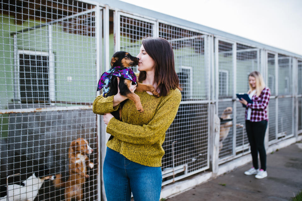 Young woman with worker choosing which dog to adopt from a shelter.