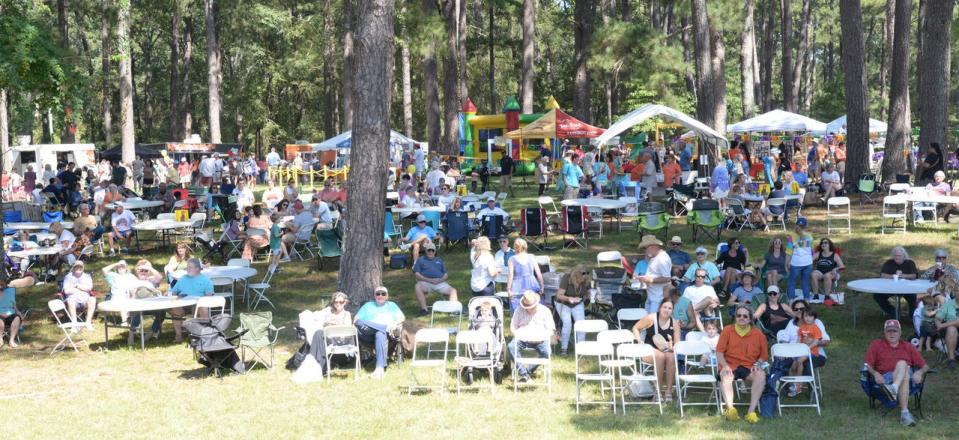 Crowds gather at Boyll Park in Jackson for the 2022 WellsFest.