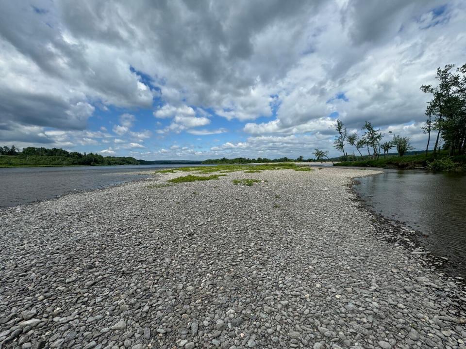 The riverbed on either side of this rocky sandbar in the St. John River near Eqpahak Island is a particularly prolific producer of cyanobacteria. 