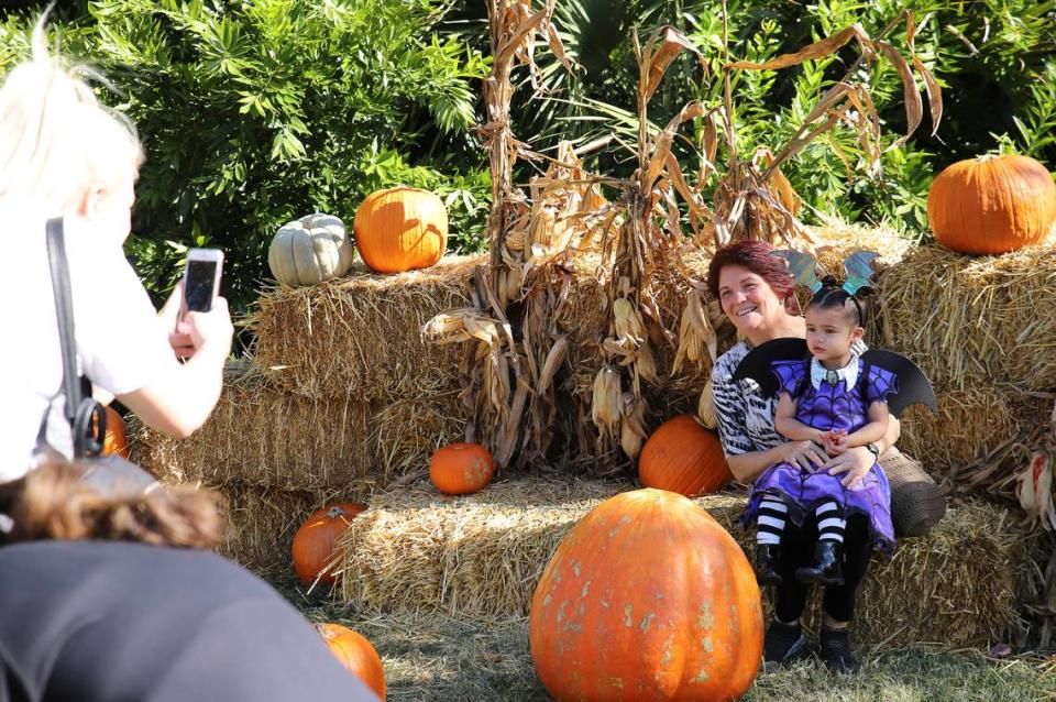 Not every Miami Halloween event is scary. Check out Zoo Boo at Zoo Miami, where kids can wear costumes for contests and photo opps and watch animals eat their Halloween treats.