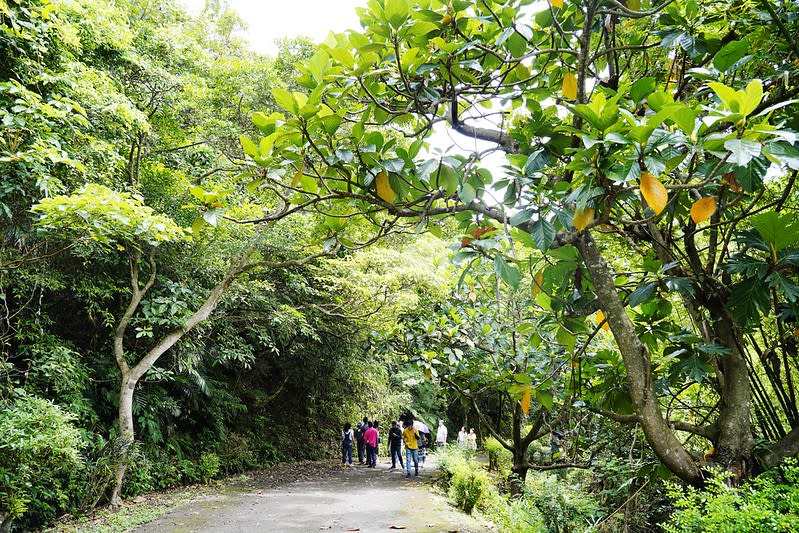 馥蘭朵宜蘭里山藝術文化園區