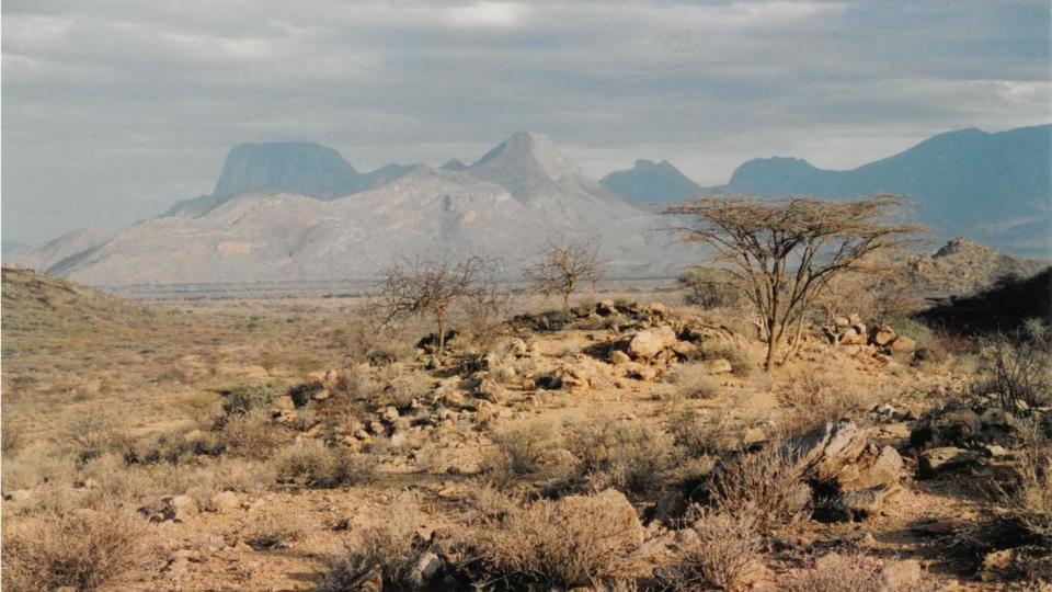 A landscape photograph of the Rift Valley showing mountains in the background