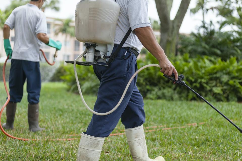 Chemical pesticides can be harmful to human health. <a href="https://www.gettyimages.com/detail/photo/two-pest-control-technicians-with-portable-spray-royalty-free-image/145091307" rel="nofollow noopener" target="_blank" data-ylk="slk:Huntstock/Brand X Pictures via Getty Images;elm:context_link;itc:0;sec:content-canvas" class="link ">Huntstock/Brand X Pictures via Getty Images</a>