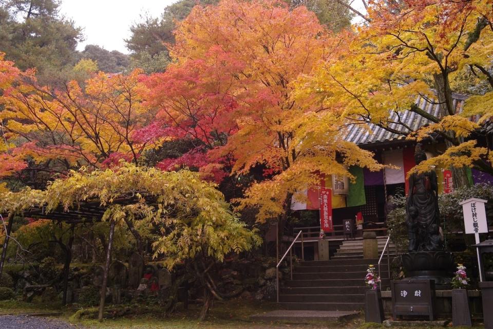 泉涌寺（圖片來源：Getty Creative）