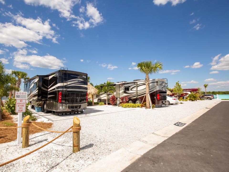 RVs parked at a RV park among palm trees.