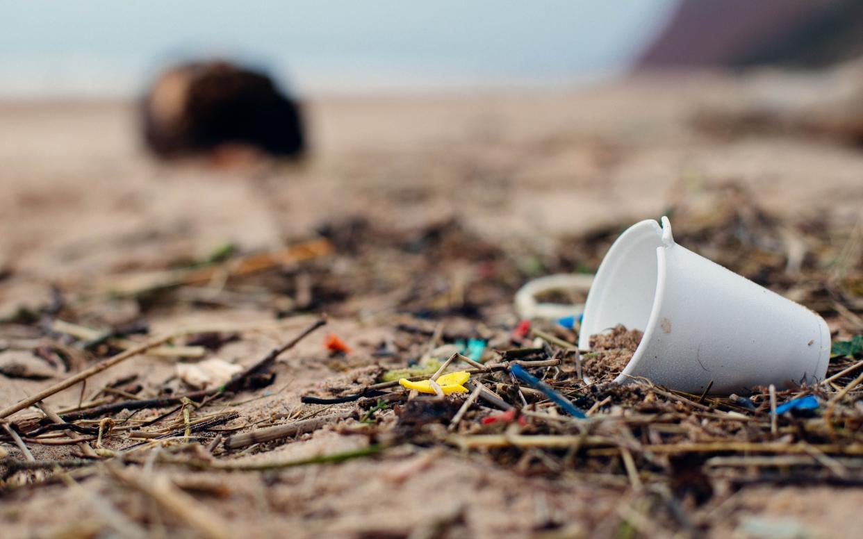 Rubbish on British beaches have fallen by 16 per cent  - Marine Conservation Society 