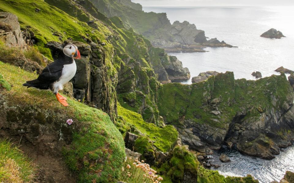 unst - James Warwick 