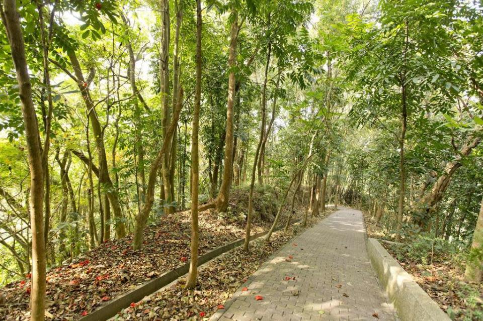 虎形山公園（圖片來源：台南旅遊網）