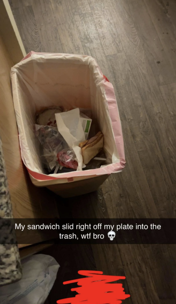 A trash can with a sandwich amid other trash, with caption: "My sandwich slid right off my plate into the trash"