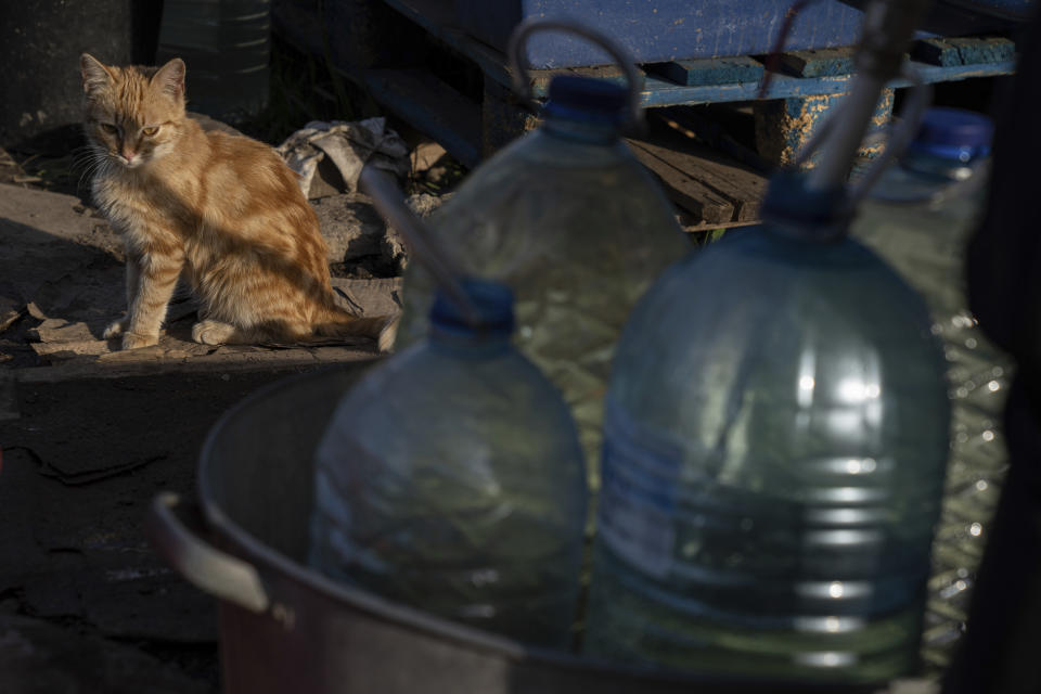 A cat sits as people fill cans with water from a water tank installed for residents of Toretsk, eastern Ukraine, Monday, April 25, 2022. Toretsk residents have had no access to water for more than two months because of the war. (AP Photo/Evgeniy Maloletka)