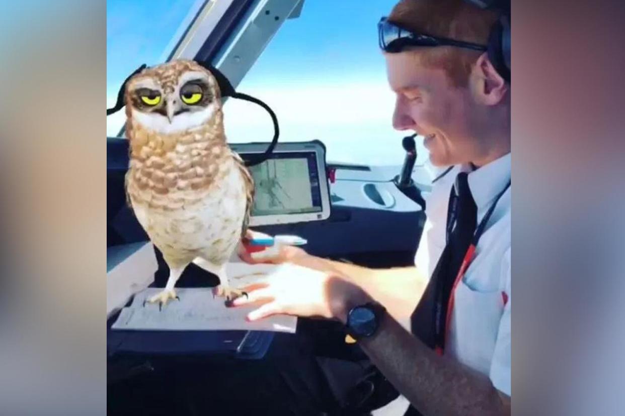 One clip shows the co-pilot on the flight dancing with a cartoon owl: pilot_flyingnut