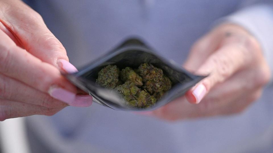 <div>A bag of 'flower,' or marijuana bud. <strong>(Photo by ROBYN BECK/AFP via Getty Images)</strong></div>