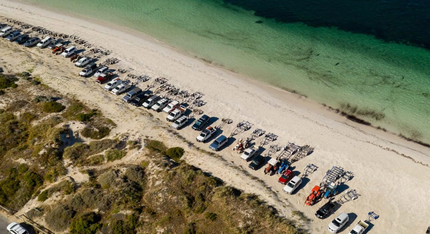 Vehicles and trailers lined up on Lancelin beach. Source: Facebook. 