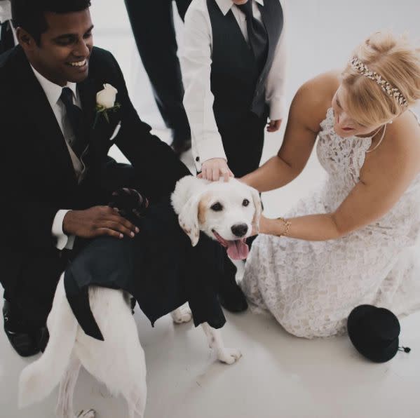 "Pups are welcome at any wedding I shoot!" --&nbsp;<i>Anda Marie</i>