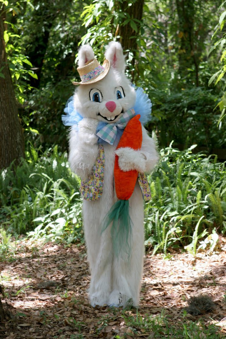 Creepy Easter Bunny in the wild. (Photo: Getty Images)