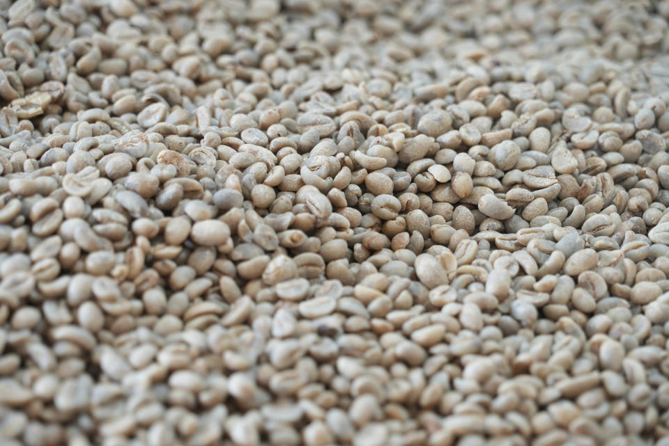 Coffee beans after being processed seen at a coffee factory in Dak Lak province, Vietnam, on Feb. 1, 2024. New European Union rules aimed at stopping deforestation are reordering supply chains. An expert said that there are going to be "winners and losers" since these rules require companies to provide detailed evidence showing that the coffee isn't linked to land where forests had been cleared. (AP Photo/Hau Dinh)