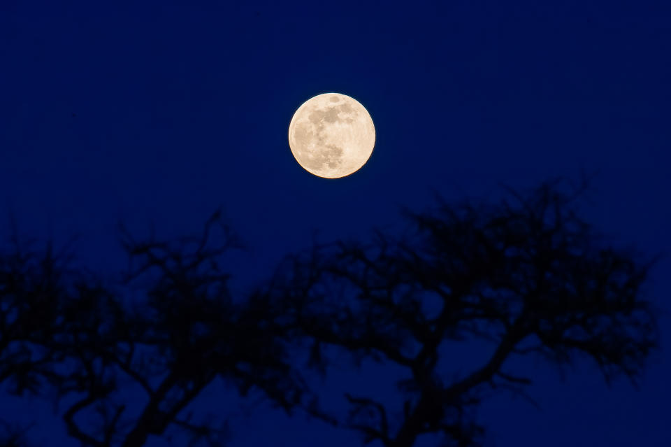 The January full moon seen over  Andria, Italy, on January 25, 2024