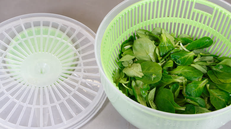 spinach in a salad spinner