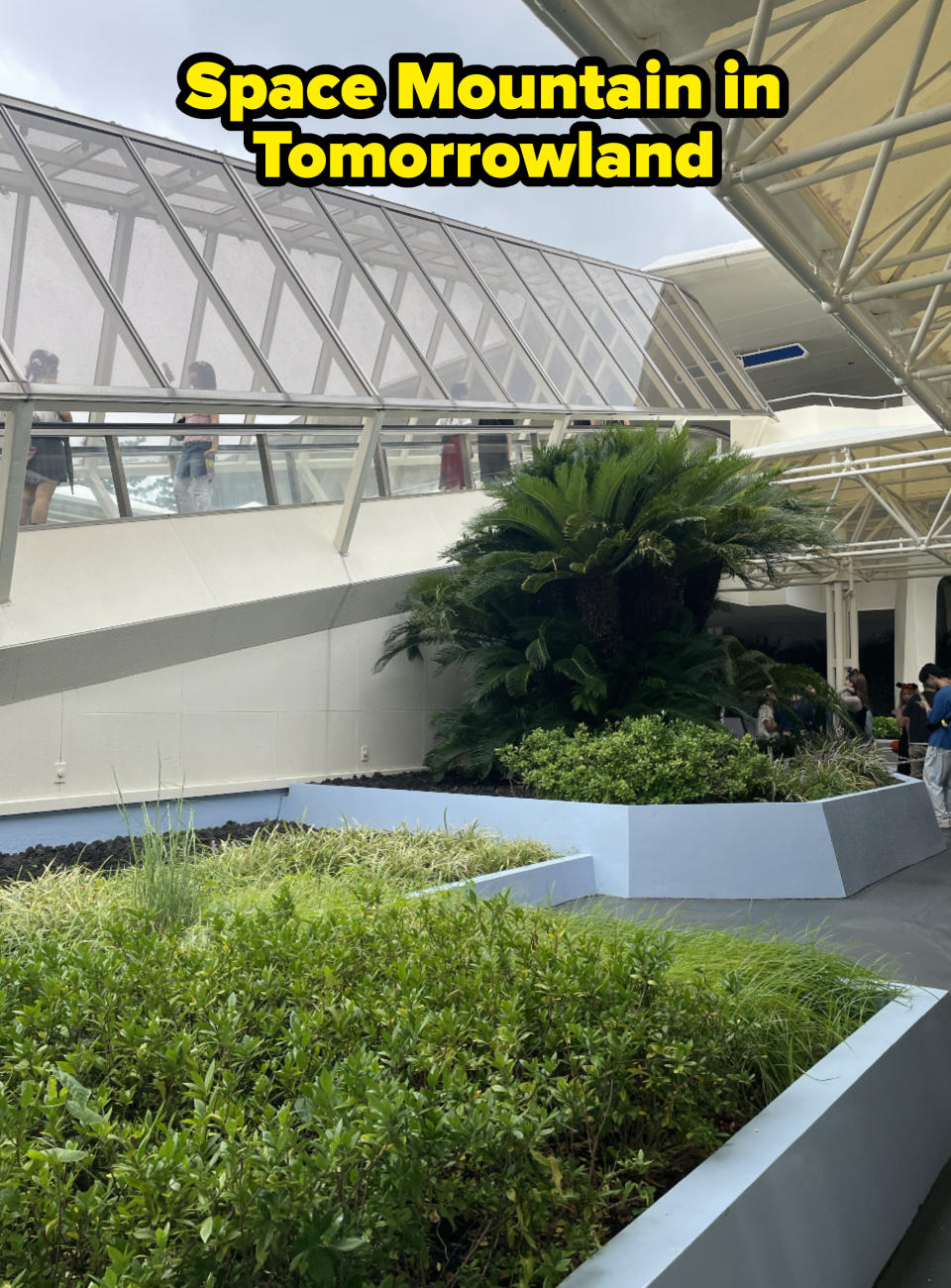 Modern building with glass-paneled roof, indoor greenery, and skylights. People are visible through glass walkway above the plants