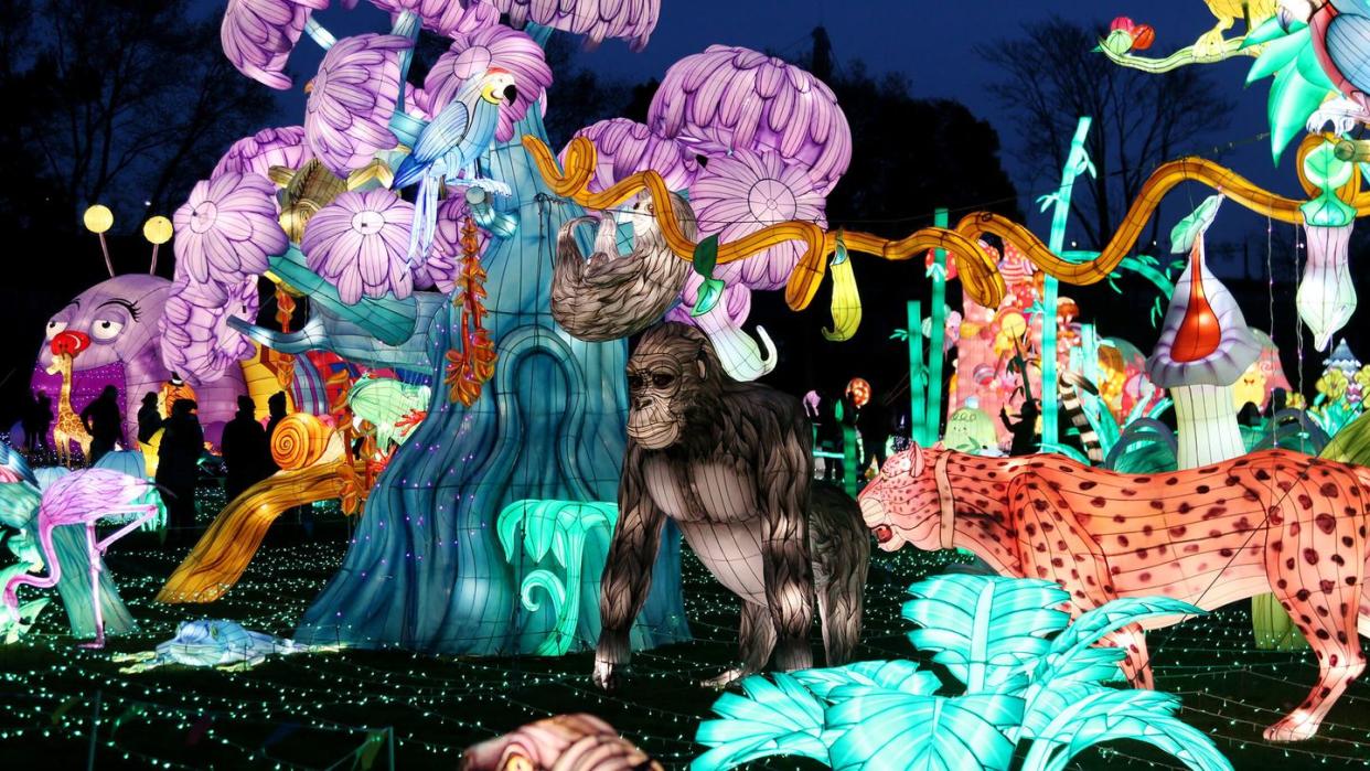 luminocity festival jungle lanternscape things to do on new year's day