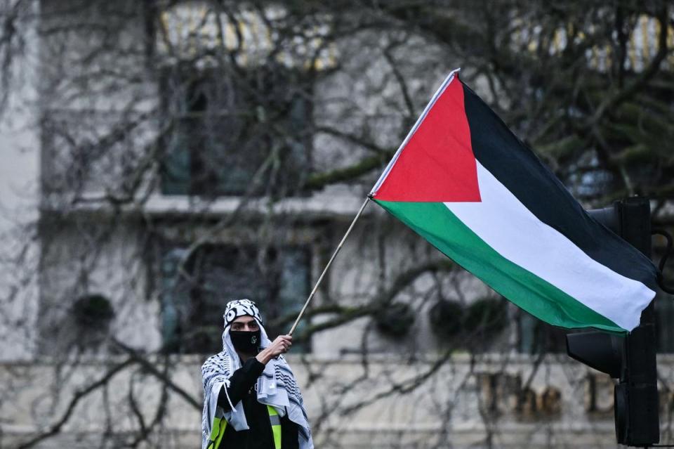 A Pro-Palestinian supporter waves a Palestinian flag (AFP via Getty Images)