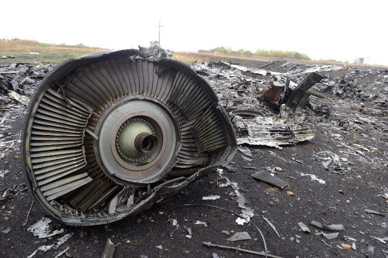 The wreckage of Malaysia Airlines Flight MH17 at the crash site in the village of Grabovo on September 9, 2014