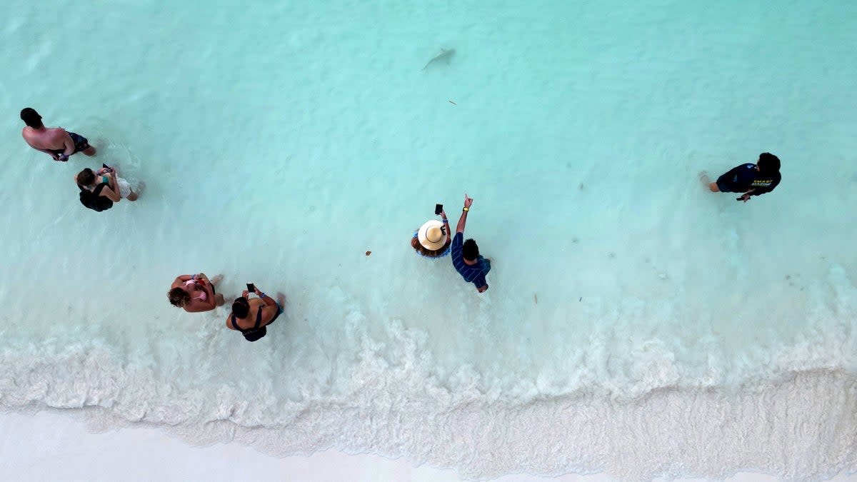 Tourists watch a newborn blacktip reef shark at the beach of Maya Bay in Phi Phi Island National Park, on Phi Phi Leh Island, Thailand (Reuters)